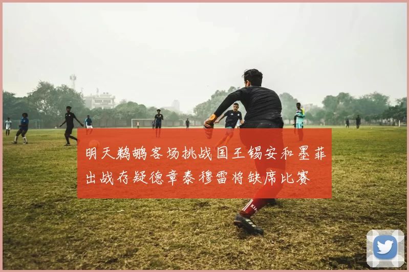 明天鹈鹕客场挑战国王锡安和墨菲出战存疑德章泰穆雷将缺席比赛